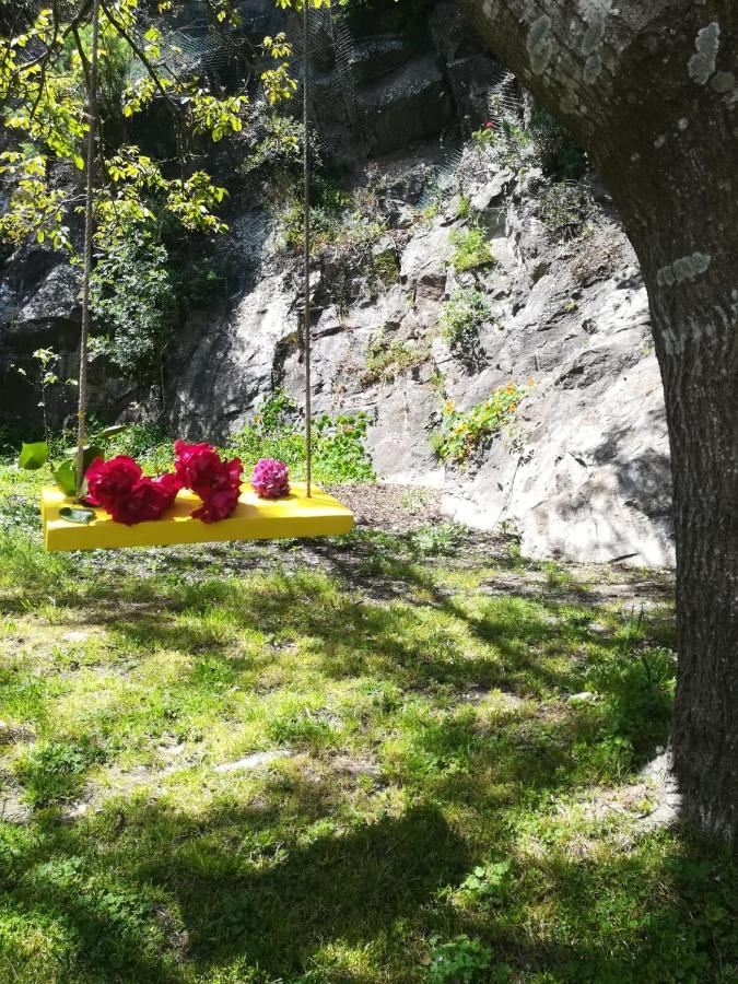 Villa In Sintra - Casa Da Penha Ferrim Ngoại thất bức ảnh