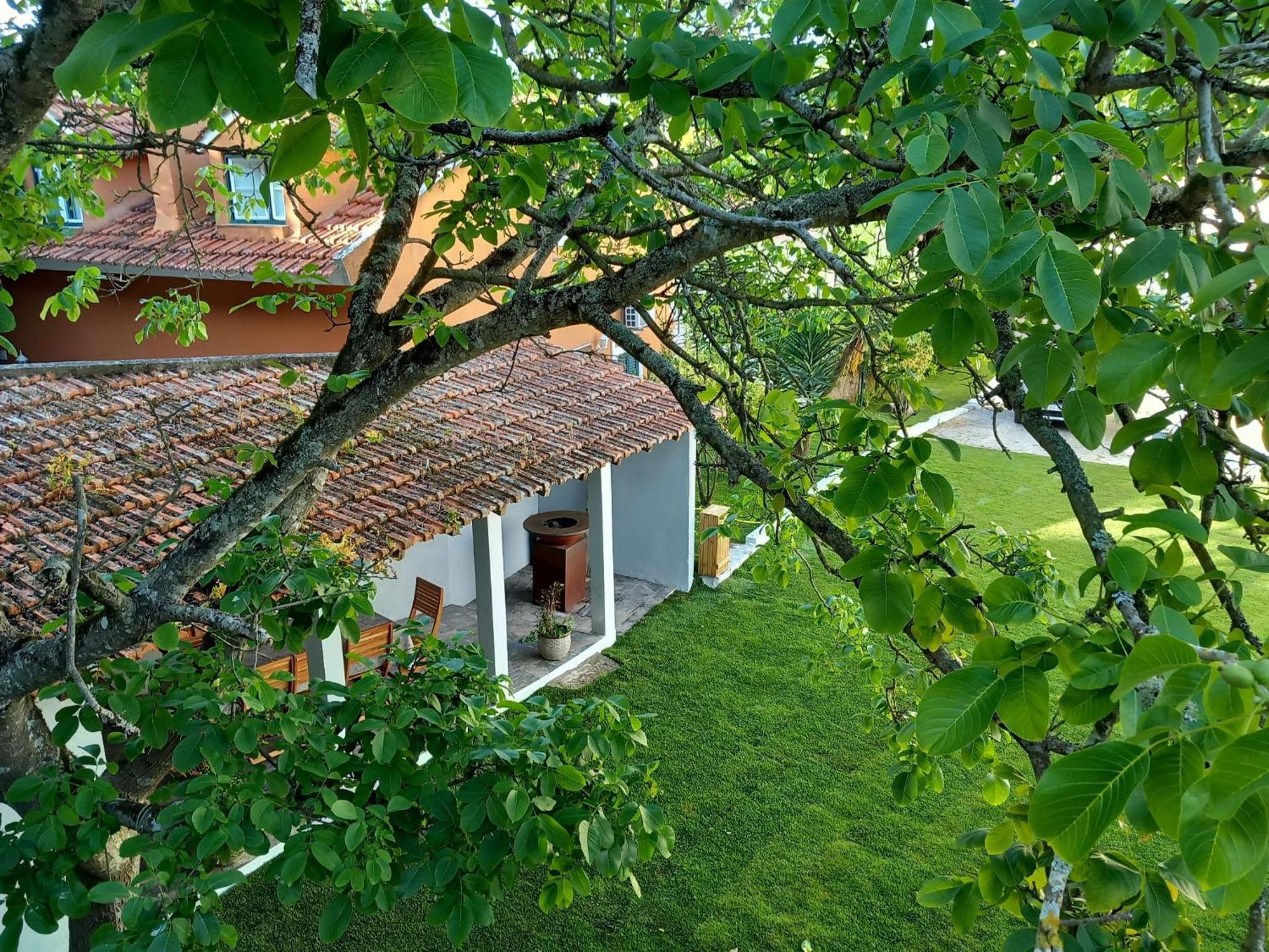 Villa In Sintra - Casa Da Penha Ferrim Ngoại thất bức ảnh