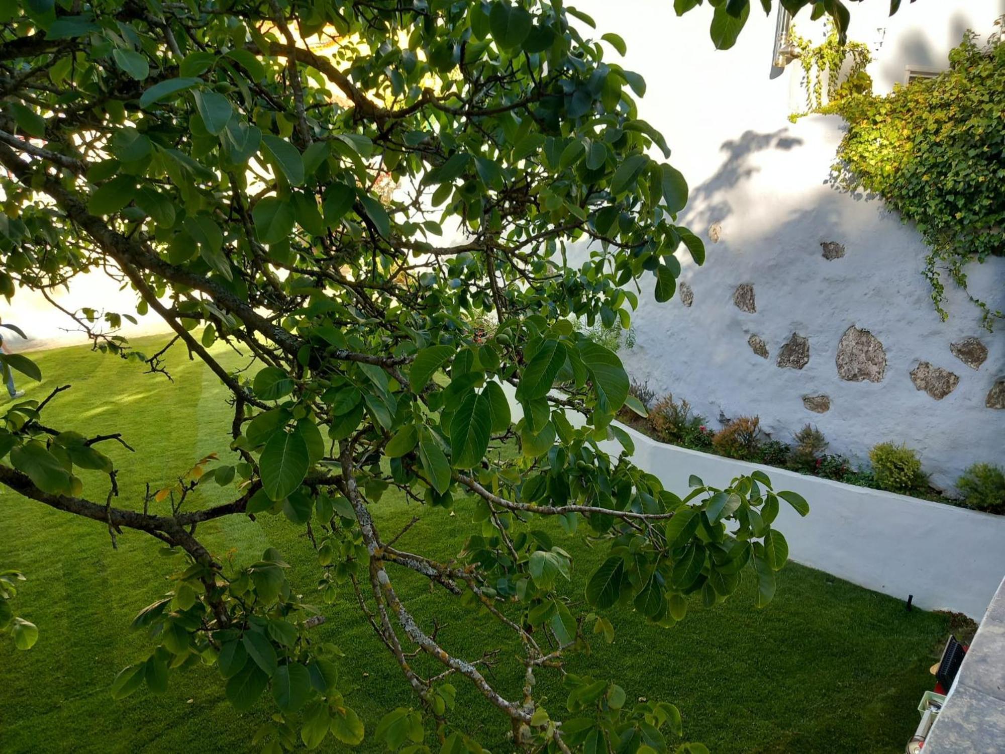 Villa In Sintra - Casa Da Penha Ferrim Ngoại thất bức ảnh