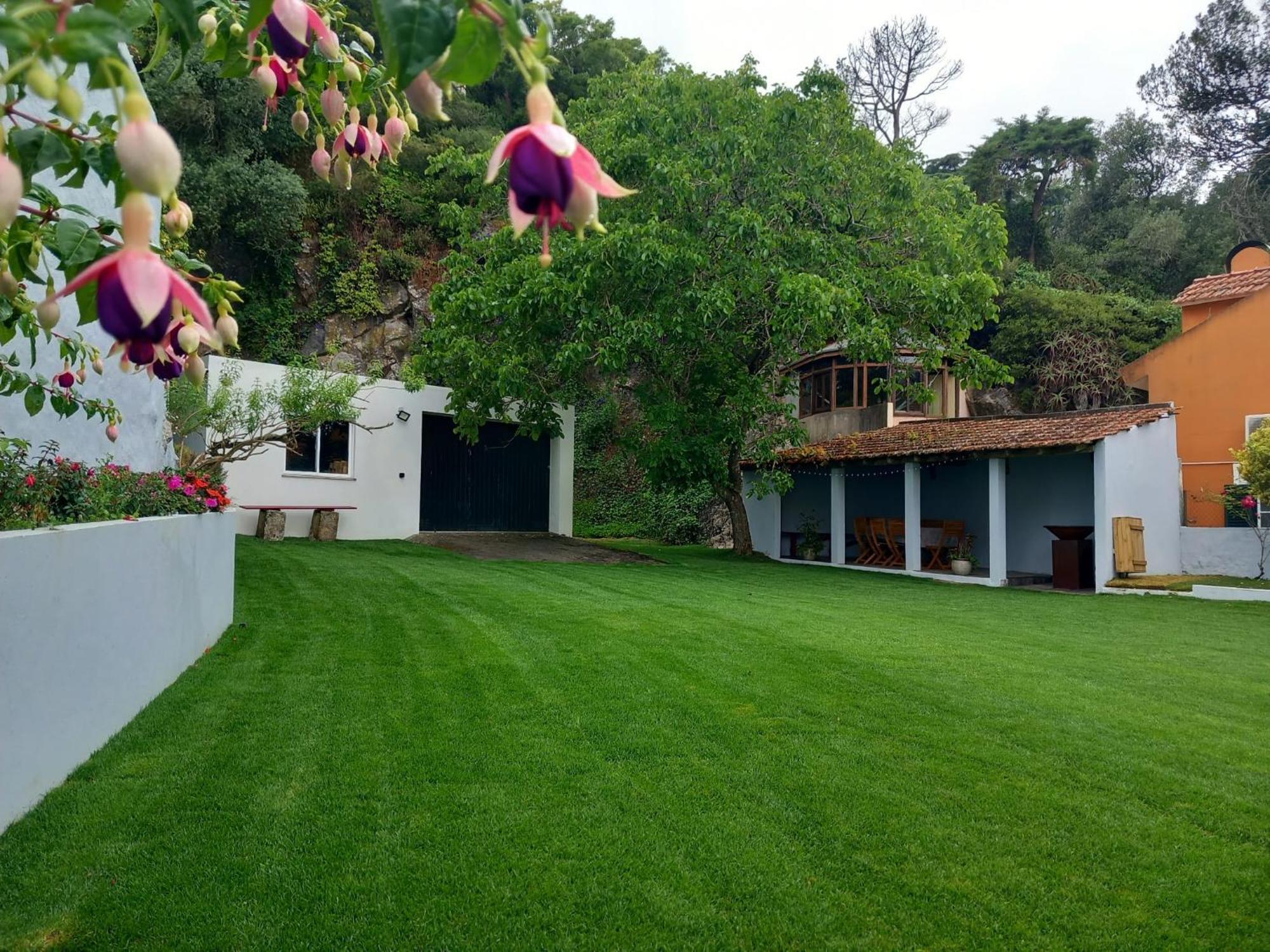 Villa In Sintra - Casa Da Penha Ferrim Ngoại thất bức ảnh
